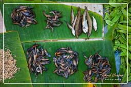 Marché de Luang Prabang (200)