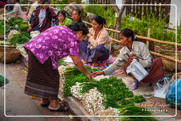 Marché de Luang Prabang (235)