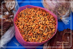 Luang Prabang Market (244)