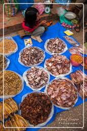 Luang Prabang Markt (250)