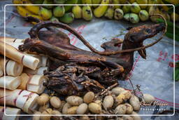 Marché de Luang Prabang (266)