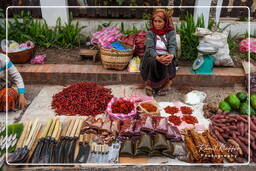 Mercato di Luang Prabang (277)