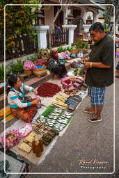 Mercato di Luang Prabang (279)