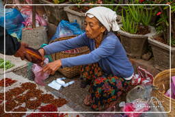 Luang Prabang Markt (295)