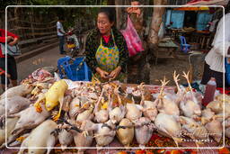 Marché de Luang Prabang (335)