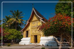 Wat Xieng Thong (10)