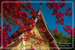 Wat Xieng Thong (18)