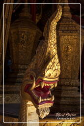 Vat Xieng Thong (44)