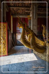 Wat Xieng Thong (52)