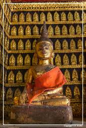 Wat Xieng Thong (93)