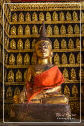 Wat Xieng Thong (93)