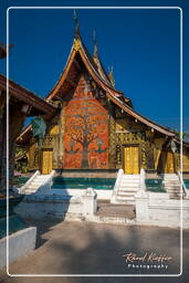 Wat Xieng Thong (134)