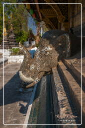 Wat Xieng Thong (142)