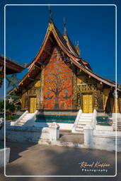 Wat Xieng Thong (155)