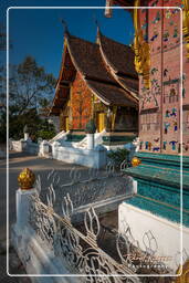 Wat Xieng Thong (161)