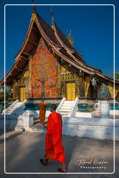 Wat Xieng Thong (170)