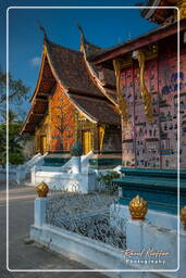 Wat Xieng Thong (198)