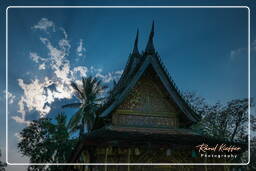 Wat Xieng Thong (204)