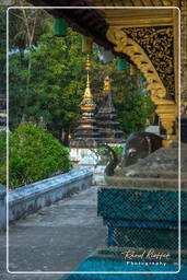 Wat Xieng Thong (248)