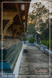 Wat Xieng Thong (250)