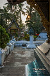 Wat Xieng Thong (255)