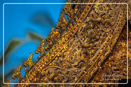 Wat Xieng Thong (293)