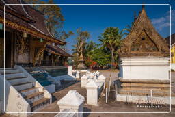 Wat Xieng Thong (328)