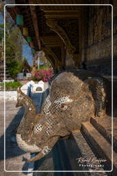 Wat Xieng Thong (334)