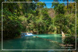 Tat Kuang Si Waterfalls (50)