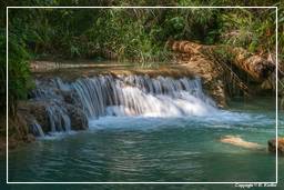 Tat Kuang Si Waterfalls (51)