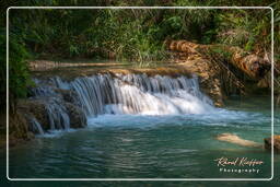 Cascate di Tat Kuang Si (51)