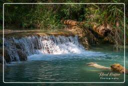 Tat Kuang Si Waterfalls (53)