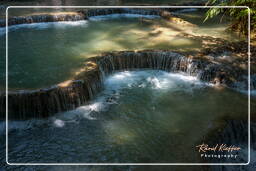 Tat Kuang Si Waterfalls (103)