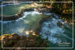 Cascadas Tat Kuang Si (107)