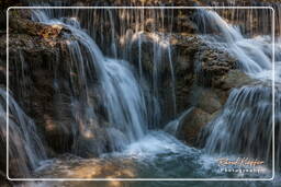 Cascate di Tat Kuang Si (109)