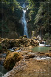 Cascate di Tat Kuang Si (128)