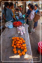 Oudomxay - Phongsali Provinces Provinces (18)