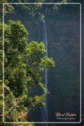 Bolaven Plateau (45)Tad Fane waterfalls