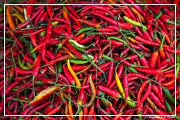 Bolaven Plateau (57) Chili pepper
