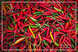 Altopiano di Bolaven (57) Peperoncino