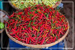 Bolaven Plateau (58) Chili pepper