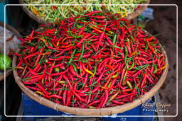 Bolaven Plateau (58) Chili pepper