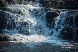 Bolaven Plateau (163) Tad Hang waterfalls