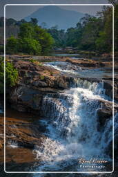 Bolaven Plateau (184) Tad Hang waterfalls