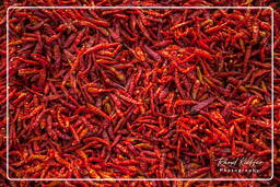 Chili pepper, Bolaven Plateau (240)