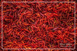 Altopiano di Bolaven (240) Peperoncino