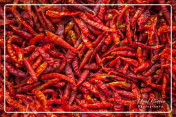 Plateau des Bolovens (241) Piment