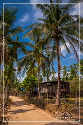 Don Khon Island (63)