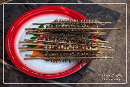 Grilled frogs, Don Khon Island (101)