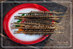 Don Khon Island (101) Grilled frogs